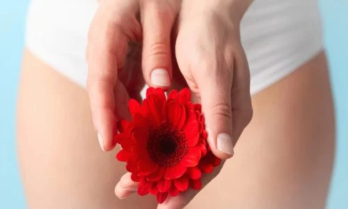woman-panties-holding-gerbera-scaled